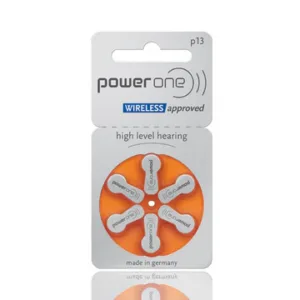 Power One P13 1.45V PR48 Hearing Aid Batteries - 1 Packet 6 Batteries